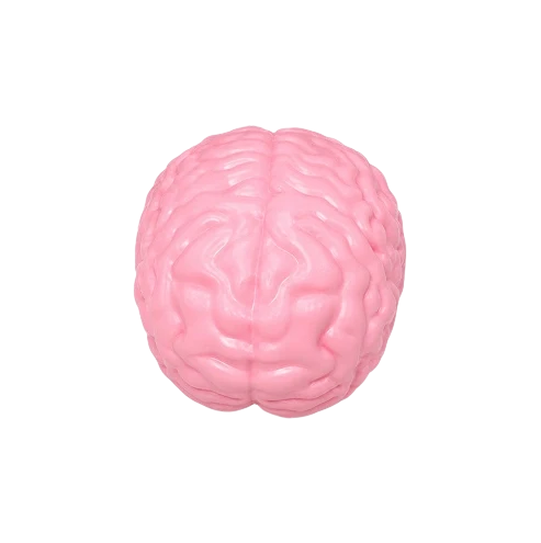 Giant Brain Squishy Stress Ball