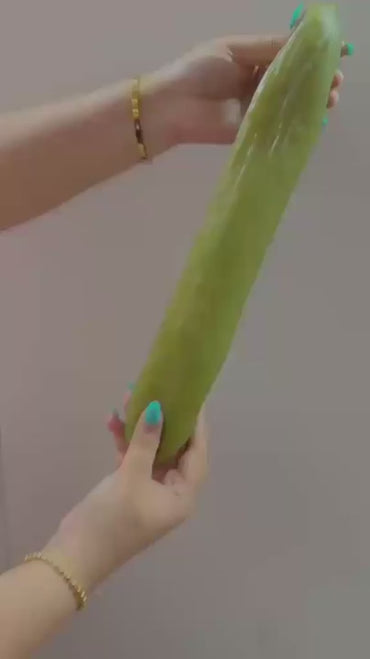 Pickle Squishy - 12" Long - Stress Relief Toy