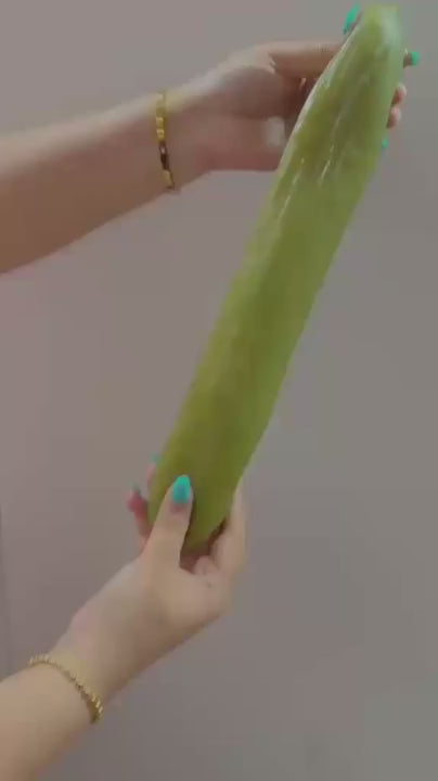 Pickle Squishy - 12" Long - Stress Relief Toy