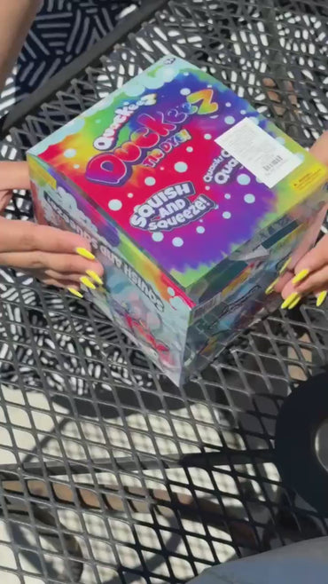 Rainbow Duck Squishy