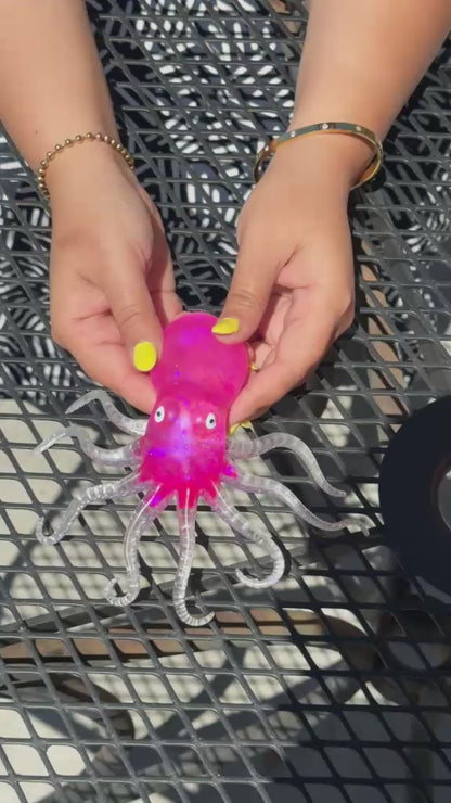 Squid Squishy – Colour May Vary