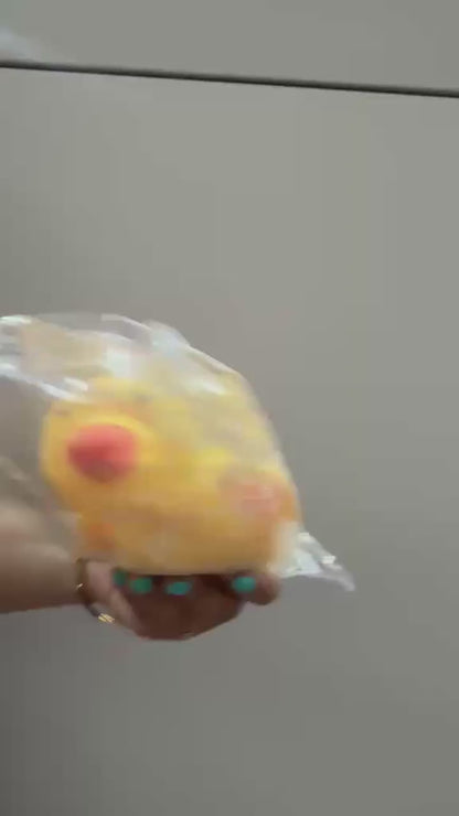 Little Duck Squishy